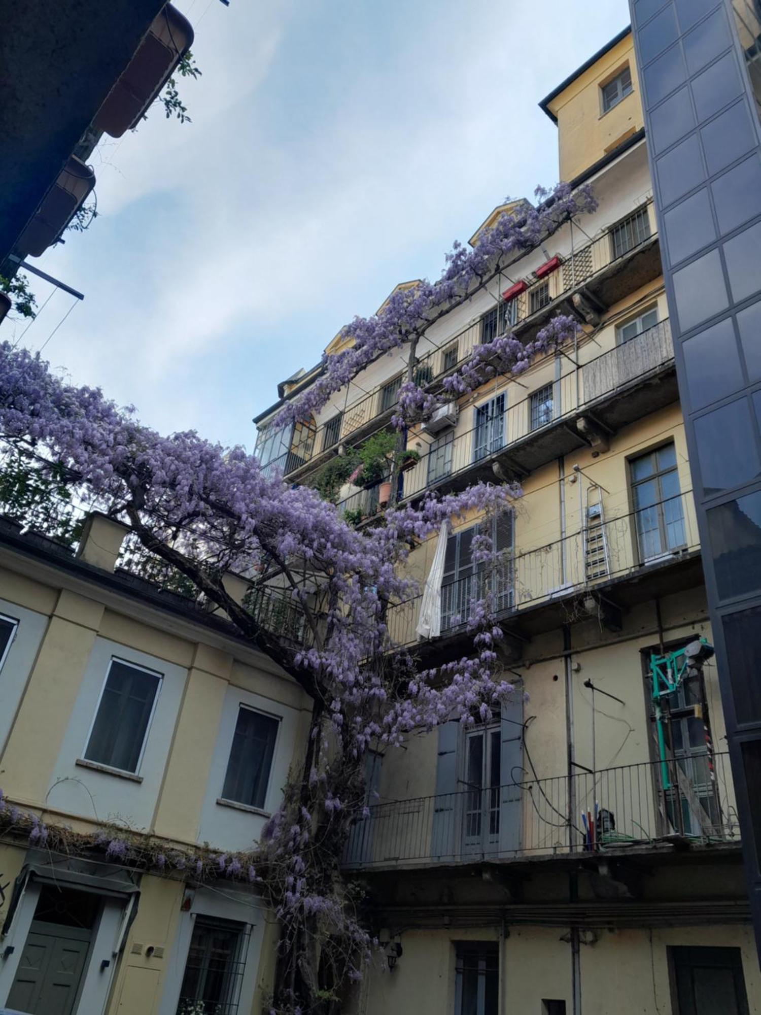 Alloggio Torino Inquadro Екстер'єр фото